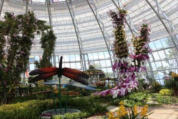 Vinpearl Land mở cửa công viên thực vật 5 châu độc đáo nhất Việt Nam ảnh 2